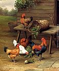Art Canvas Paintings - Chickens art